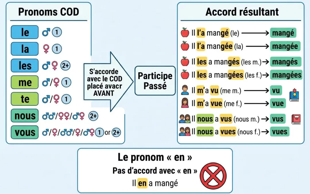 Diagramme pédagogique sur l’accord du participe passé avec avoir et les pronoms COD, montrant comment accorder (ou non) avec le participe passé selon le COD placé avant, et quelques exemples concrets.