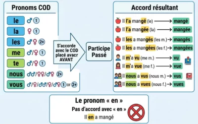 Accord du participe passé avec avoir : règle et exemples