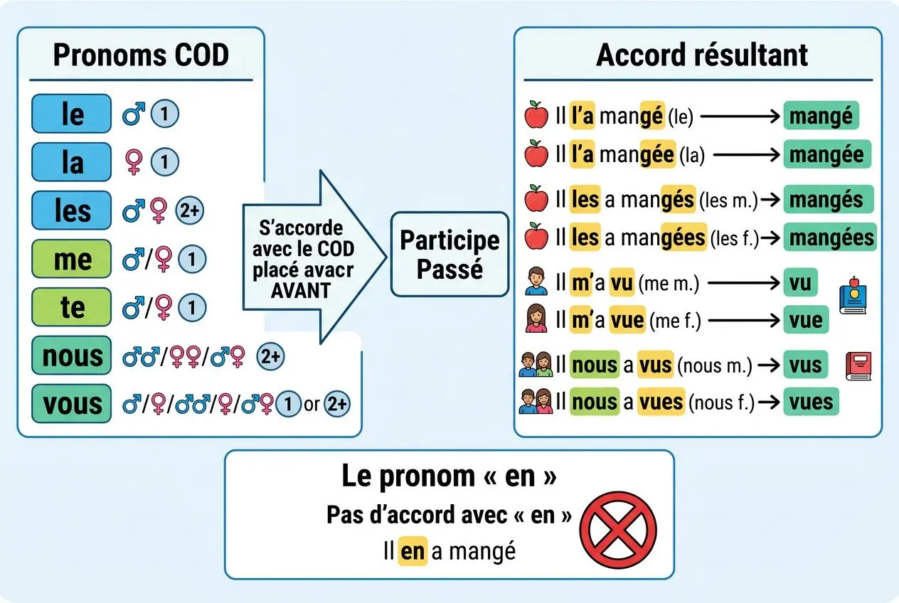 Diagramme pédagogique sur l’accord du participe passé avec avoir et les pronoms COD, montrant comment accorder (ou non) avec le participe passé selon le COD placé avant, et quelques exemples concrets.